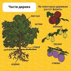 �������������� ����