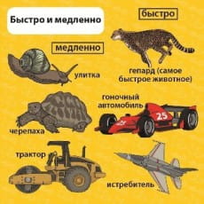 �������������� ����