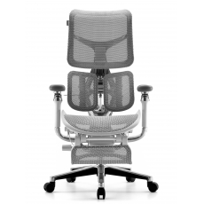 �������������� ����