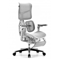 �������������� ����