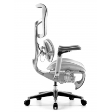 �������������� ����