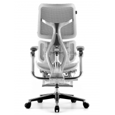 �������������� ����