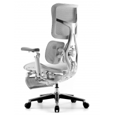 �������������� ����