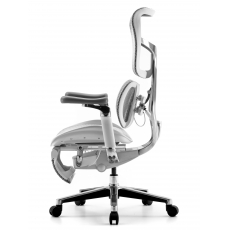 �������������� ����