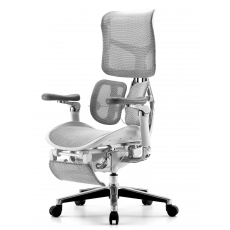 �������������� ����