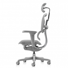 �������������� ����